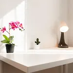 In The Heart Of Bologna, Belvedere House 3 * Bologna
